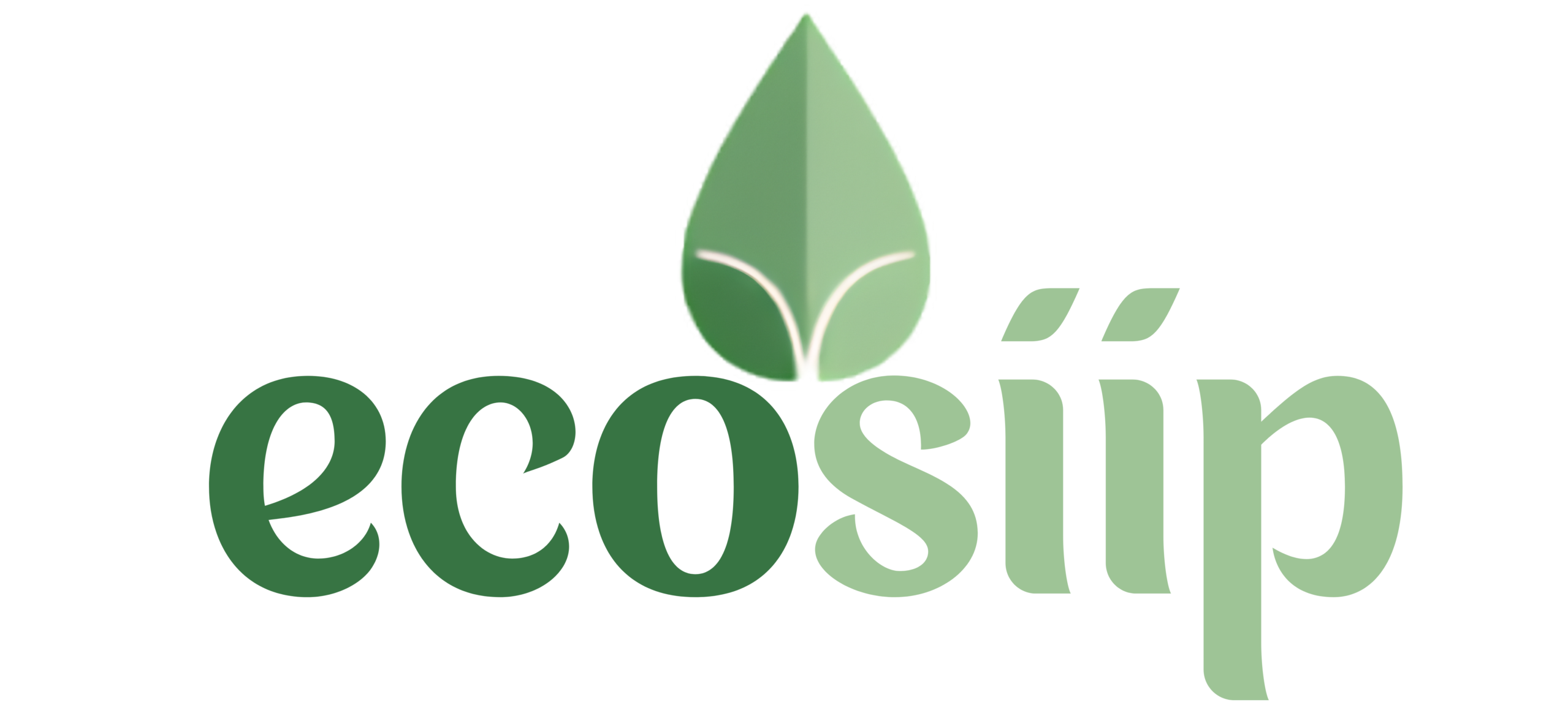 eco siip_final